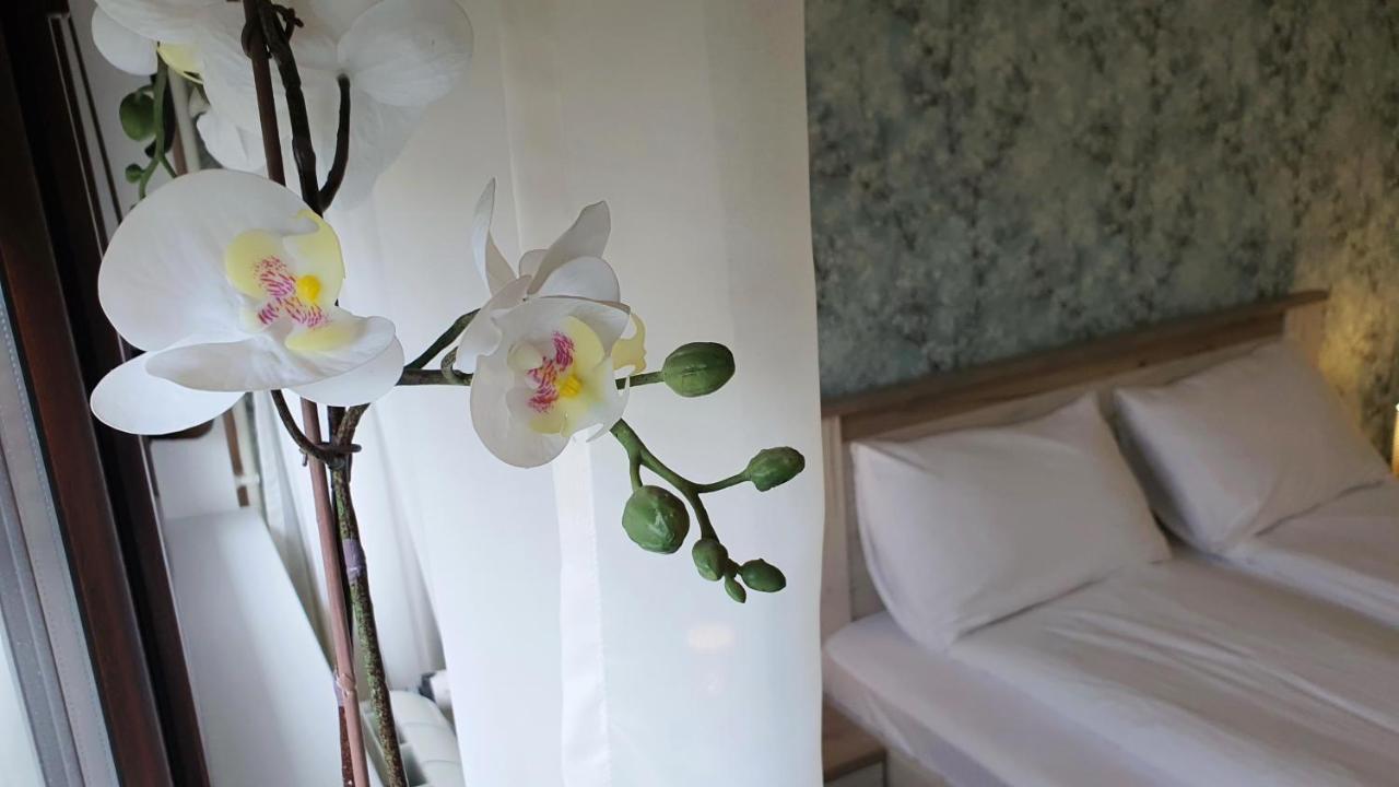 Apartments Spring Čačak المظهر الخارجي الصورة