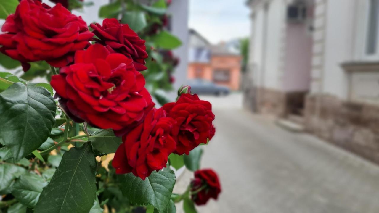 Apartments Spring Čačak المظهر الخارجي الصورة