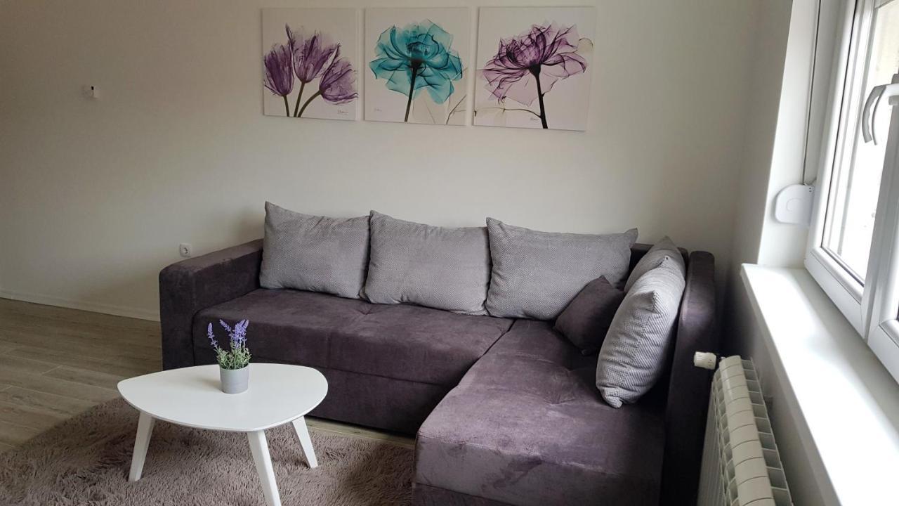 Apartments Spring Čačak المظهر الخارجي الصورة